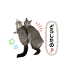 takakomomoriko（個別スタンプ：8）