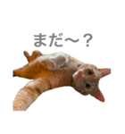 小梅のねこ（個別スタンプ：6）