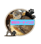 猫のプッチとみかん6（個別スタンプ：1）