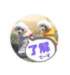 メレンゲの仲間たちno.2（個別スタンプ：2）