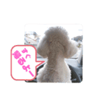 メレンゲの仲間たちno.2（個別スタンプ：14）