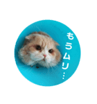 ぬけさくの日常 4（個別スタンプ：4）