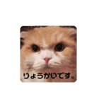 ぬけさくの日常 4（個別スタンプ：7）