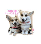 くるゆずスタンプ（個別スタンプ：7）