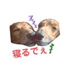 ぱちまま一家（個別スタンプ：1）