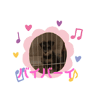 ドナシュタ(ドーナッツ)（個別スタンプ：5）