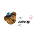 熊のクーたんスタンプ（個別スタンプ：1）