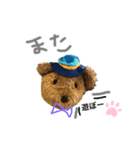 熊のクーたんスタンプ（個別スタンプ：6）
