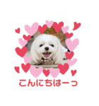 チワマル☆ジュエラちゃんのスタンプ（個別スタンプ：2）