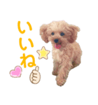 おチビのちーこちゃん（個別スタンプ：3）