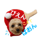 おチビのちーこちゃん（個別スタンプ：5）