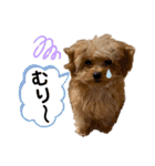 おチビのちーこちゃん（個別スタンプ：7）