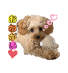 おチビのちーこちゃん（個別スタンプ：9）