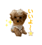 おチビのちーこちゃん（個別スタンプ：11）
