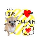 Horike's.everyday（個別スタンプ：21）