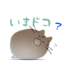 けだまねこ vol.02（個別スタンプ：15）