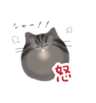 けだまねこ vol.02（個別スタンプ：22）