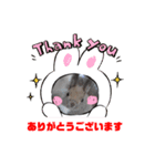 かわいいエゾリス（個別スタンプ：5）