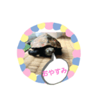 ちぃちゃんクリエイター（個別スタンプ：2）