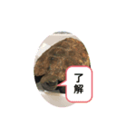 ちぃちゃんクリエイター（個別スタンプ：3）