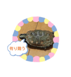 ちぃちゃんクリエイター（個別スタンプ：5）