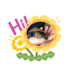 ちぃちゃんクリエイター（個別スタンプ：7）
