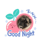 dog.、（個別スタンプ：13）