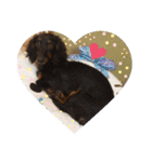 dog.、（個別スタンプ：14）
