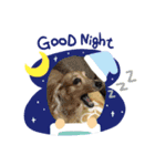 dog.、（個別スタンプ：16）