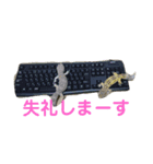 かわいい爬虫類達のスタンプ（個別スタンプ：4）