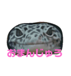 かわいい爬虫類達のスタンプ（個別スタンプ：7）