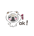 ゆきまると申します。（個別スタンプ：7）