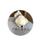 ゆきまると申します。（個別スタンプ：10）