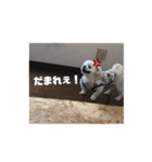 ゆきまると申します。（個別スタンプ：13）