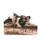 aikenlov（個別スタンプ：5）