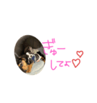 aikenlov（個別スタンプ：8）