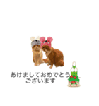うにじる にゃんこ 十二支（個別スタンプ：1）