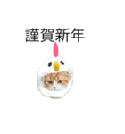うにじる にゃんこ 十二支（個別スタンプ：10）