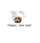 うにじる にゃんこ 十二支（個別スタンプ：16）