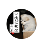 小次郎スタンプ2（個別スタンプ：1）