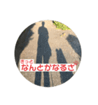 小次郎スタンプ2（個別スタンプ：15）