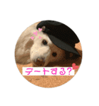 小次郎スタンプ2（個別スタンプ：20）