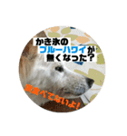 小次郎スタンプ2（個別スタンプ：28）