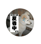 小次郎スタンプ2（個別スタンプ：30）