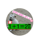 小次郎スタンプ2（個別スタンプ：38）