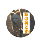 小次郎スタンプ2（個別スタンプ：39）