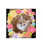 可愛いミーちゃん（個別スタンプ：2）