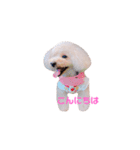 ろーちゃんとまいにち（個別スタンプ：3）
