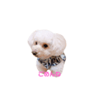 ろーちゃんとまいにち（個別スタンプ：5）