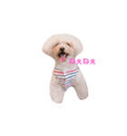 ろーちゃんとまいにち（個別スタンプ：7）